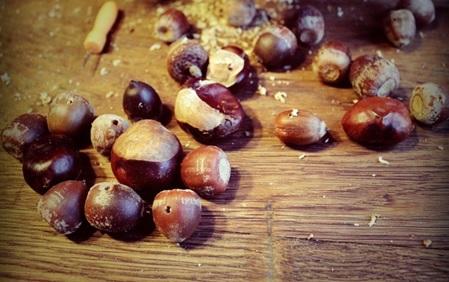 Herfstfeestje6