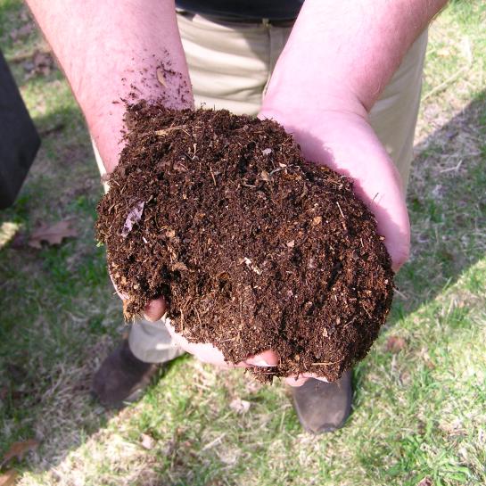 Een handvol compost